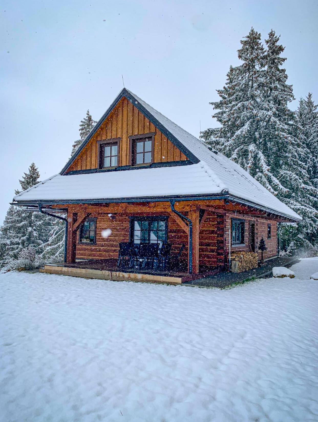 Drevenica Lesanka Villa Demanovska Dolina Bagian luar foto
